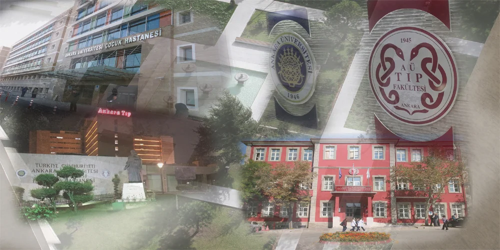 Doktor ve Hastane Araştırması